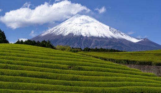 【日本国内】お茶産地別特徴まとめ